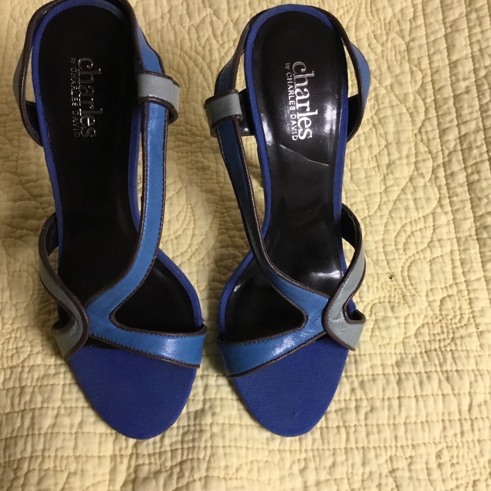 Charles David, Blue and Grey open stiletto
